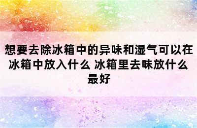 想要去除冰箱中的异味和湿气可以在冰箱中放入什么 冰箱里去味放什么最好